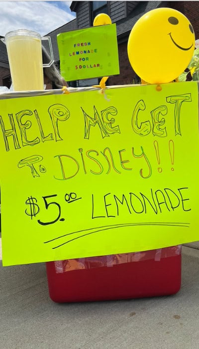 Lemonade Stand Idea Disney Fundraiser